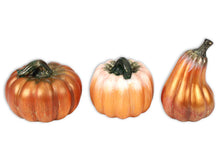 Load image into Gallery viewer, Paint Your Own Ceramic Pumpkin Centerpiece
