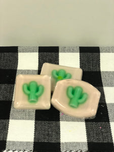 Cactus Bar Soap