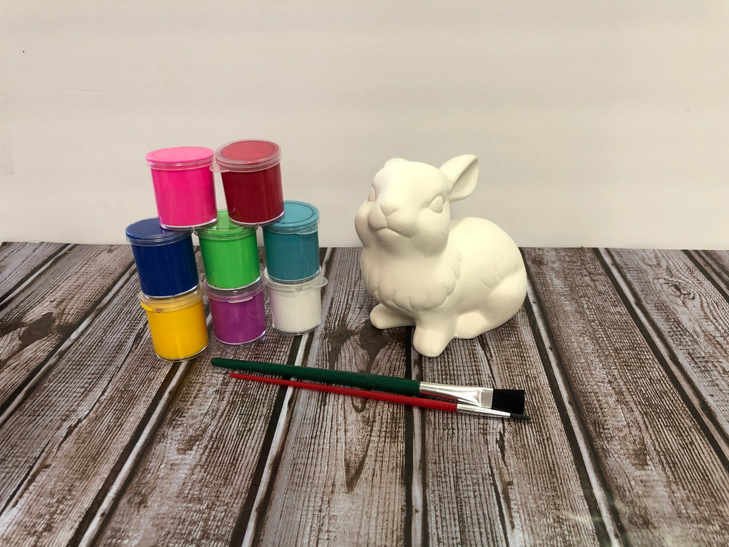 Ceramic Rabbit Kit